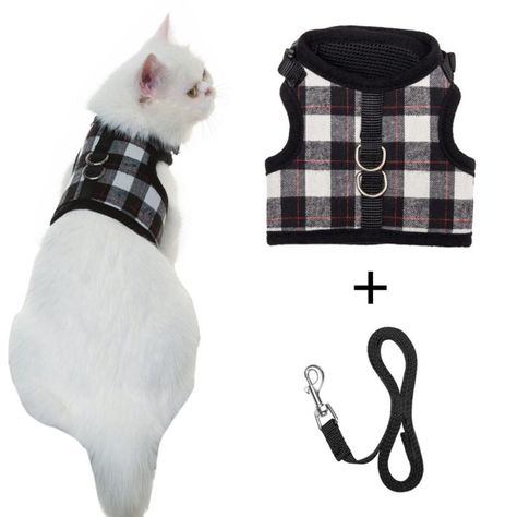 The Best Cat Harness that Your Cat Will Love | OliveKnows Cats Pfp Matching, Best Cat Harness, Aesthetic Cat Tattoo, Cats Pfp, Kitten Harness, Cats Outside, Cat Leash, Cat Essentials, Cats Pictures