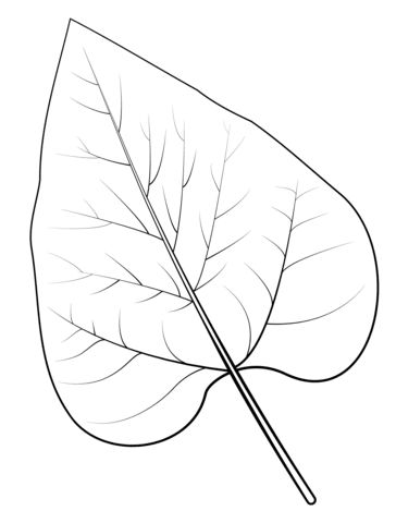 single leaf lines coloring pages Single Leaf, Tumbuh Tumbuhan Prasekolah, Leave Outline Leaf Template, Tropical Leaf Line Art, Tropical Plant Coloring Page, Bodhi Leaf, Fotografi Vintage, Leaf Drawing, Leaf Coloring