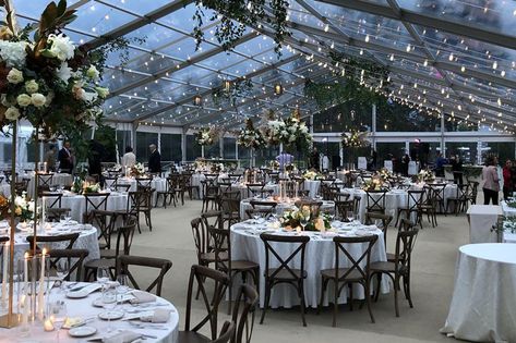 Clear Top Tent, Tent Wedding Reception, Backyard Tent, Clear Tent, Tent Decorations, Tent Rentals, Wedding Tent, Clear Top, Future Wedding Plans