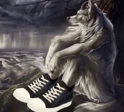 Wolf Sitting, Lonely Wolf, Wolf Meme, Alpha Werewolf, Wolf Images, Alpha Wolf, Werewolf Art, Wolf Pictures, Lone Wolf