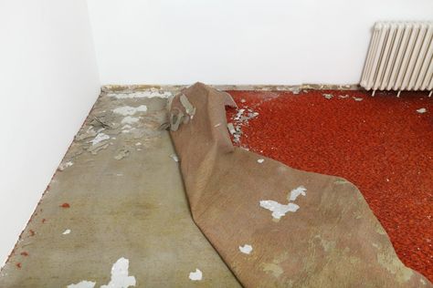 If you’ve been looking for a new home in Utah’s current market, you know pickings are slim. Most buyers know what a few gallons of paint can do. But if you're willing to take on a couple of additional projects, you can turn that ugly duckling house into an affordable dream. Here's a few ugly feature How To Remove Carpet, Remove Carpet, Diy Home Updates, Stair Posts, Removing Carpet, Gallon Of Paint, Old Carpet, Carpet Squares, Radiant Floor Heating