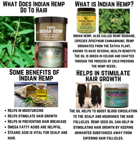 Here are some benefits of using Indian hemp on your hair Hemp Seed Oil Benefits Hair, Hemp Hair Products, Brahmi Powder Benefits Hair, Benefits Of Hemp Seed Oil, Indian Hair Growth Secrets, Indian Secrets For Hair Growth, Indian Hair Care, Indian Hemp Hair Growth, Ethiopian Hair