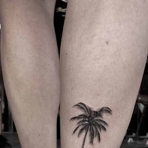 🇲🇽 Ciballi • fine line tattoos • Tulum on Instagram: "A palm tree to never forget your trip to the jungle 🌴 Appointments available in Tulum 🌴 Send me a DM or link to my whatsapp in bio. #tattoo #blackart #fineline #blackwork #rivieramaya #tattootulum #tulum #palmtreetattoo" Tulum Tattoo Ideas, Fine Line Palm Tree, Palm Tree Tattoo Dainty, Delicate Palm Tree Tattoo, Palm Tree Water Tattoo, Palm Tree Tattoo, Appointments Available, Never Forget You, Forget You