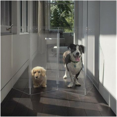 HIDDIN Clear View Zig Zag Freestanding Dog Gate, 4-Panel - Chewy.com Freestanding Dog Gate, Cat Gate, Freestanding Pet Gate, Kids Gate, Pet Barrier, Decorative Light Bulbs, Dog Gate, Modern Pet, Pet Gate