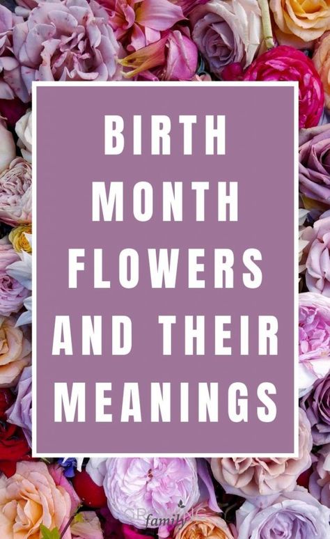 Birth Month Flower Meanings, March Birth Flower Meaning, Flower For March Birth Month, Multiple Birth Month Flower Tattoos, Flower Of The Month Chart, Flower Tattoo And Their Meaning, Different Tattoo Flowers, Flower For February Birth Month, Flowers For Each Birth Month