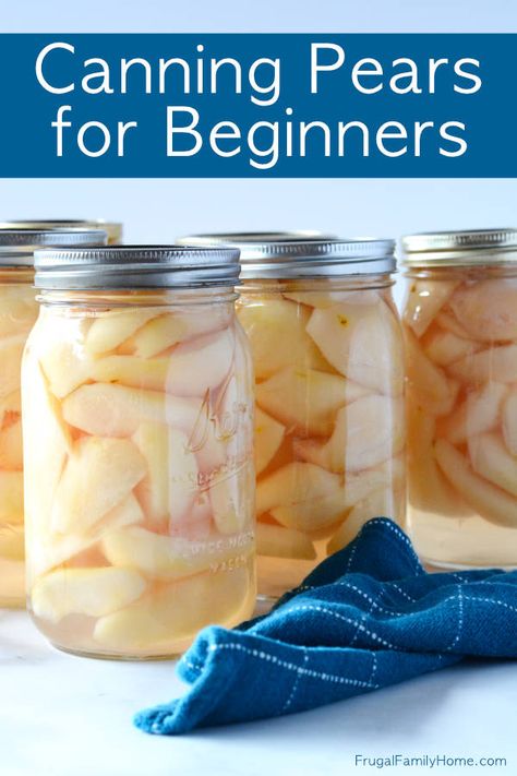 Canning Pears For Beginners, Light Syrup For Canning Pears, Peeling Pears For Canning, Pears In Syrup Recipe, What To Do With Pears From Tree, Canning Pears In Light Syrup, How To Peel Pears, Canning Pears Easy, Canning Pears Recipes