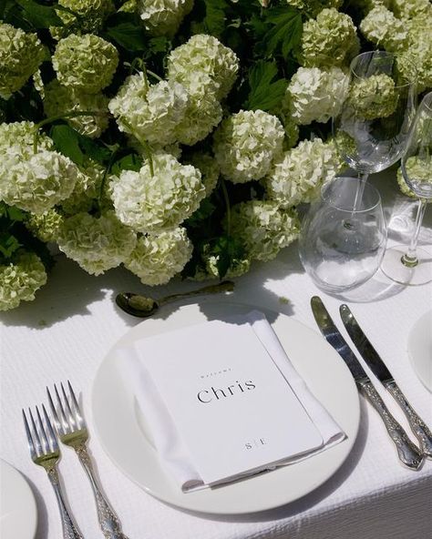 Oak and Ivory | Wedding Stationery, Prints, Cards 🤍 on Instagram: "More magic from @villarica_estate open day 🤍 This Tuscan-inspired gem in South Australia is truly magical. Thanks to the talented team at @outinthepaddock for crafting every detail to perfection, and @sebastian_paynter_photo for capturing it all so beautifully! Venue: @villarica_estate Styling, Catering, Florals: @outinthepaddock Hire: @whitemarquee Stationary: @oakandivory_ Photography: @sebastian_paynter_photo Filmmaker: @littlepaperplaneweddings Violinist: @leah_zweck @stringsource" Green White Table Setting, Ivory Table Setting, Green Wedding Tablescape, Green Hydrangea Wedding, Tuscan Inspired Wedding, Early Spring Wedding, Wedding Tablescape, Hydrangeas Wedding, Tuscan Inspired