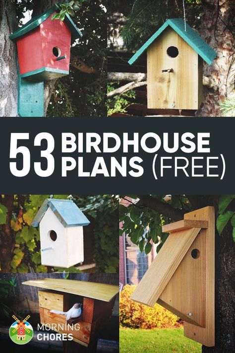 53 DIY Bird House Plans that Will Attract Them to Your Garden Birdhouse Plans, Bird House Plans Free, Bird Feeder Plans, Homemade Bird Houses, Bird Houses Ideas Diy, Jardim Diy, Bird House Feeder, Bird House Plans, Bird House Kits