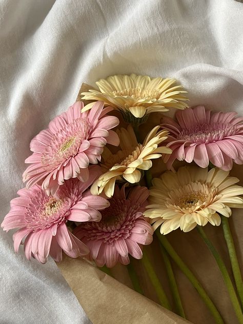 Boquette Flowers, Nothing But Flowers, Flower Therapy, Gerbera Daisy, Beautiful Bouquet Of Flowers, Alam Yang Indah, Pink And Yellow, Love Flowers, Flower Wallpaper