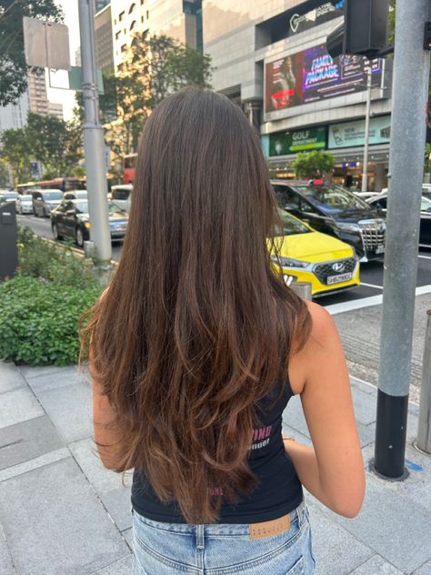 long layers haircut Long Haired Layers, Straight Hair Layers Unstyled, Long Hair With Slight Layers, Long Straight Hair Long Layers, Haircuts For Long Hair Without Bangs, Soft Layers For Long Hair, Lightly Layered Long Hair, Long Layered Haircuts Brown Hair, Chunky Layers Long Hair Straight