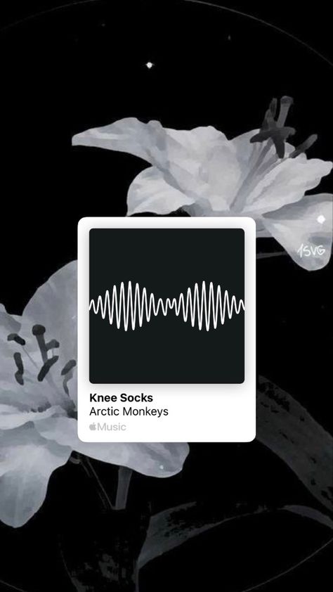 -Knee Socks 🎶 Knee Socks Arctic Monkeys, Music Arctic Monkeys, Arctic Monkeys Wallpaper, Monkey Wallpaper, Galaxy Colors, Artic Monkeys, Knee Socks, Wallpaper Ideas, Arctic Monkeys