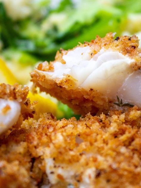 A buttery golden brown panko crust crowns this crispy baked fish for a quick and easy weeknight dinner. A perfect fish recipe for people who don't like fish. And for those who do too. Choose any mild white fish and a sauce or condiment you like best - we have lots of suggestions. Breaded Baked Fish, Oven Fried Fish, Baked Haddock, Haddock Recipes, Fish Recipes Baked, White Fish Recipes, Baked Fish Recipes, Fish Dinner Recipes, Fish Recipes Healthy