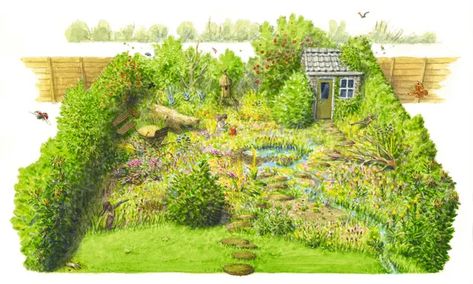 Think like a beaver, create a pond – and lose the cat: seven ways to rewild your garden | Gardens | The Guardian Rosebay Willowherb, Butterfly Garden Design, Bat Species, Bug Hotel, Nature Friendly, A Pond, Eco Design, Enchanted Garden, Terrace Garden