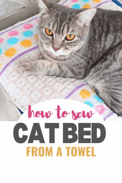 This DIY project can be a fun 10 minutes activity that results in a cozy resting place customized to your pet’s size and your home décor. #easypeasycreativeideas #sewing #sewingproject #cat #catbed #petbed Diy Cat Beds Easy, Diy Cat Sleeping Bag Pattern, Diy Cat Beds Ideas, Homemade Cat Beds Diy, Pet Sewing Projects, Cat Sewing Projects, Cat Bed Diy, Bed Aesthetic, Homemade Cat Beds