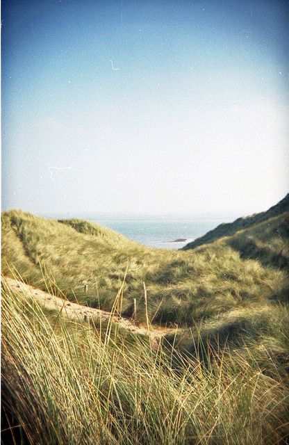 Sand Dunes in Tramore, Co. Waterford, Ireland  Taken with Holga 135 BC Waterford Ireland, Photography Mountains, 35mm Photography, Film Photo, Color Film, Sand Dunes, Film Photography, Favorite Places, Natural Landmarks