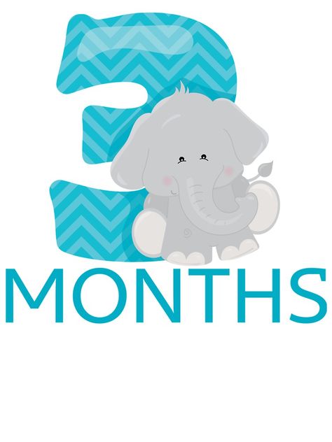 "3 months old! Jungle/Safari themed milestone stickers, cards, and onesies!" Baby One-Pieces by AlaskaGirl | Redbubble 3 Month Sticker, Monthly Baby Photos Boy, Baby Journal Book, Zebra Illustration, Teddy Bear Crafts, Baby Birthday Card, Baby Milestones Pictures, Onesies Baby, Baby Month Stickers