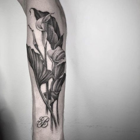 Tattoo by Nathan Kostechko #NathanKostechko #blackandgreytattoos #blackandgrey #callalily #lily #flower #floral #leaves #plant #nature #realistic #lettering #script | Oct 10th 2018 | 722314 Lily Tattoo Sleeve, Nathan Kostechko, Calla Lily Tattoo, Lilly Tattoo Design, Lilly Flower Tattoo, Lily Tattoos, Black Calla Lily, Butterfly With Flowers Tattoo, Lillies Tattoo