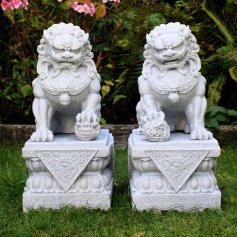 Japanese Foo Dog, Foo Dog Tattoo Design, Dog Garden Statues, Foo Dog Tattoo, Foo Dog Statue, Guardian Lion, Stone Lion, Bird Types, Foo Dogs