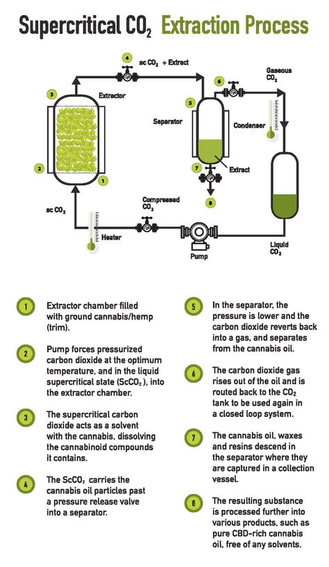 The CO2 extraction process is the preferred method for producers looking to create a clean, potent product while keeping operational costs low. Essential Oils, Electronics Diy, Essential Oil Extraction, Decaffeinated Coffee, Botanical Oils, Carbon Dioxide, Green Energy, Cbd Oil, Diy Hacks