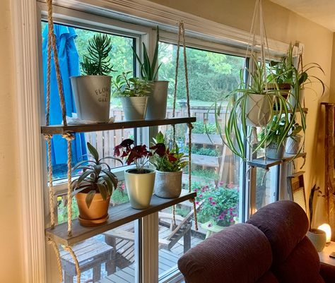 How to build a hanging plant shelf – Kristin Lia Restoration Plant Shelving Ideas, Window Plant Stand, Plant Shelving, White Faux Wood Blinds, Hanging Plant Shelf, Diy Hanging Shelves, Window Plants, Faux Wood Blinds, Plant Shelf