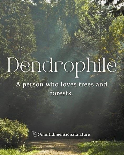 Strong Words With Meaning, Pretty Nature Words, I Love Nature Quotes, Trees Quotes Nature, Nature Words Unique, Aesthetic Meaningful Words, Words For Nature, Mother Nature Aesthetic, Words About Nature