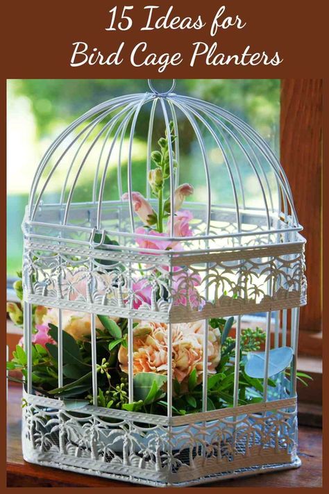 Bird Cage Flower Planter, Bird Cage With Flowers, Decorating Birdcages Ideas, Ideas For Bird Cages, Wire Bird Cage Decor Ideas, Bird Cage Decor Ideas Indoor, Small Bird Cage Decor Ideas, How To Decorate A Bird Cage, Bird Cages Diy