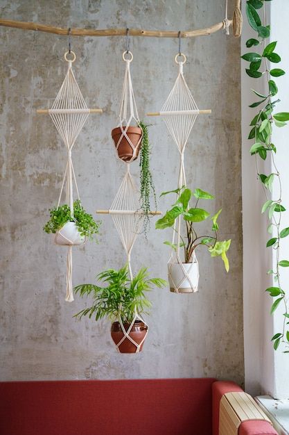 Handmade cotton macrame plants hanger ha... | Premium Photo #Freepik #photo #house-plant #plant-wall #wall-hanging #potted-plants Art Macramé, Macrame Plant Hanger Tutorial, Macrame Plant Hanger Patterns, Macrame Hanging Planter, Diy Macrame Plant Hanger, Support Plante, Macrame Plant Holder, Macrame Hanger, Macrame Patterns Tutorials