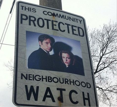 Neighborhood Watch Sign, Superhero Images, Toronto Neighbourhoods, Mulder Scully, Neighborhood Watch, Watch Over Me, Fun Pics, Fox Mulder, Dana Scully