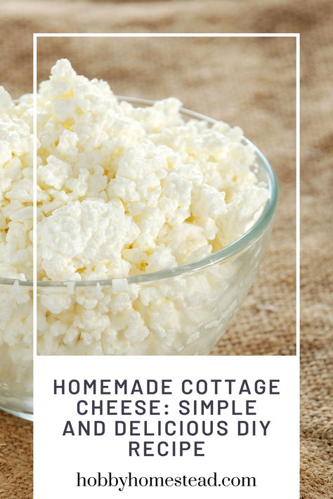 bowl of fresh cottage cheese Home Made Cottage Cheese Recipes, How To Make Cottage Cheese, Home Made Cheese, Dry Cottage Cheese, Homemade Cottage Cheese, Cottage Meals, Cheese At Home, Diy Cheese, Cottage Cheese Recipes