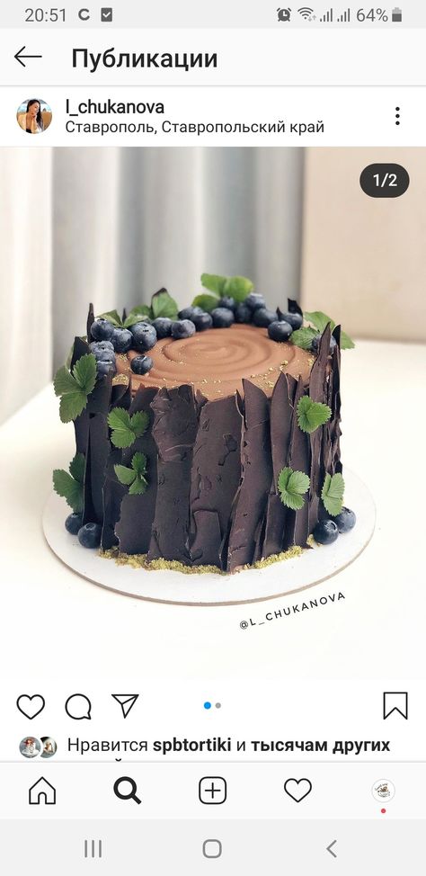 Nature Theme Birthday Cake, Woodsy Cake Ideas, Nature Themed Cakes, Nature Cake Design, Woodsy Party Decor, Woodsy Cupcakes, Log Cake Design, Nature Cake Ideas, Outdoorsy Cake