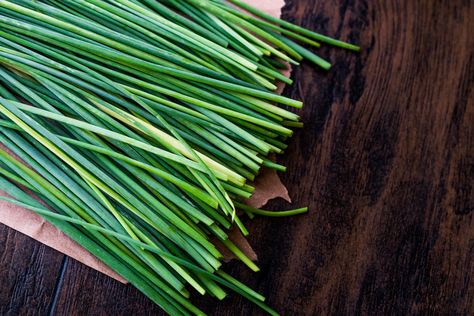 How to Store Chives: 3 Simple Ways to Store Chives Preserve Herbs, Allium Schoenoprasum, Chives Plant, Chive Blossom, Dominique Ansel, Preserving Herbs, Recipes Learn, Homemade Seasonings, How To Store