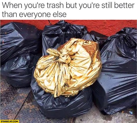 when you're trash but still better | When you’re trash, but you’re still better than everyone else ... Nikki Sixx, Yoga Sequences, Women Humor, On The Ground, Funny Pins, Bones Funny, Funny Posts, Everyone Else, Dankest Memes