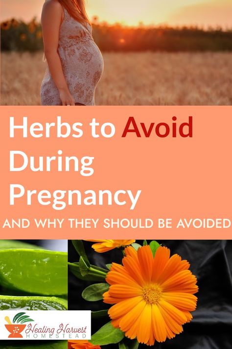 Just because an herb is natural does not mean it's good for you especially during pregnancy! In this article I go over the various types of herbs that have been deemed unsafe during pregnancy and why you should avoid them. Whether you're plannin on getting pregnant, are pregnant or are nursing it is incredibly important to do your research, so you can decide what's right for your family. #pregnancy #herbalism #herbstoavoid #herbstotake #nursingherbs Pregnancy Herbs, Types Of Herbs, Healthy Herbs, Herbal Tinctures, Natural Pregnancy, Herbs For Health, Medicinal Herbs, Medicinal Plants, Herbal Medicine