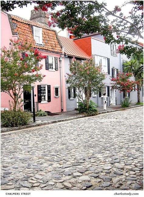 Charleston Photography, Charleston Travel, Antebellum Homes, Palmetto State, Dream Horse, Wrought Iron Gates, Iron Gates, Horse Drawn, Pink Houses