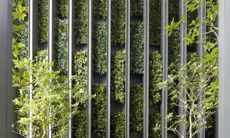 Facade With Plants, Living Wall Architecture, Vertical Garden Architecture, Plant Facade Architecture, Tropical Plant Installation, Vertikal Garden, Green Wall Design, Garden Wall Designs, Walled Garden