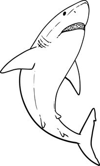 Download free HD stock image of Shark Animal Sharks, Animal Outline, Shark Drawing, Animal Doodles, Tracing Paper, Outline Drawings, Shark Week, Great White, Learn To Draw