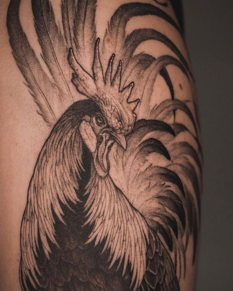 Southern Flower Tattoo, Black Rooster Tattoo, Rooster Tattoo Design, Hen Tattoo, Maui Tattoo, Jordan Tattoo, Rooster Illustration, Mirror Tattoos, Polish Tattoos