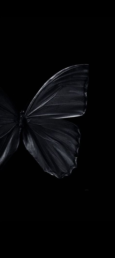 Black Aesthetic Walpapper, Face Book Bio Ideas, Black Butterfly Wallpaper Iphone, Black Butterflies Wallpaper, Butterfly Dark Wallpaper, Dark Butterfly Wallpaper Aesthetic, Black Butterfly Aesthetic, Butterfly Black Wallpaper, Dark Butterfly Wallpaper