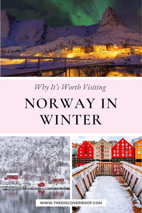 Norway in Winter: Why It’s Worth Visiting Norway Winter Itinerary, Norway Itinerary Winter, Norway In January, Norway Travel Winter, Oslo Norway Winter, Tromso Norway Winter, Christmas In Norway, Northern Lights Hotel, Norway In Winter