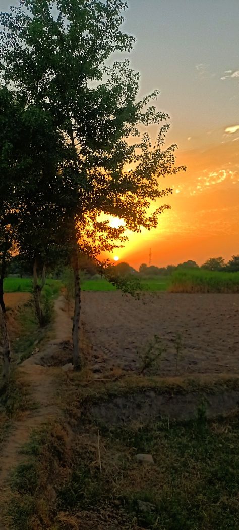 Stunning evening in village Nature, Village Evening Photography, Village Pics Indian, Village Pics In Pakistan, Punjab Village Photography, Village Life Aesthetic, Evening Sunset Photography, Punjab Photography, Punjab Village