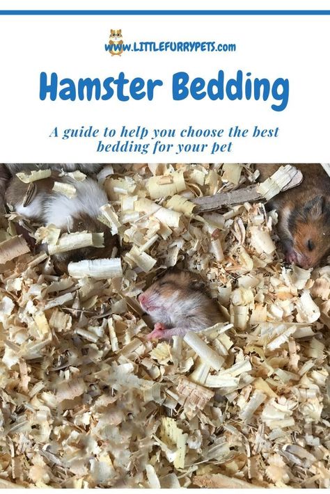 Hamster Bedding, Small Animal Bedding, Pine Beds, Hamster Care, Hamster Cages, Natural Bedding, Hamster Cage, Aromatic Oils, Material Bed