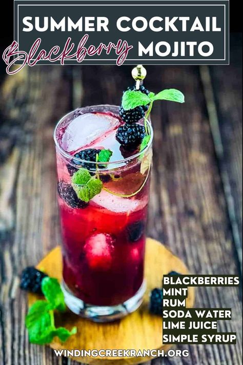 Blackberry Mojito Recipe, Mojito Recipe Pitcher, Easy Mojito Recipe, Blackberry Mojito, Ranch Recipes, Mint Mojito, Homemade Cocktails, Mojito Cocktail, Ranch Recipe