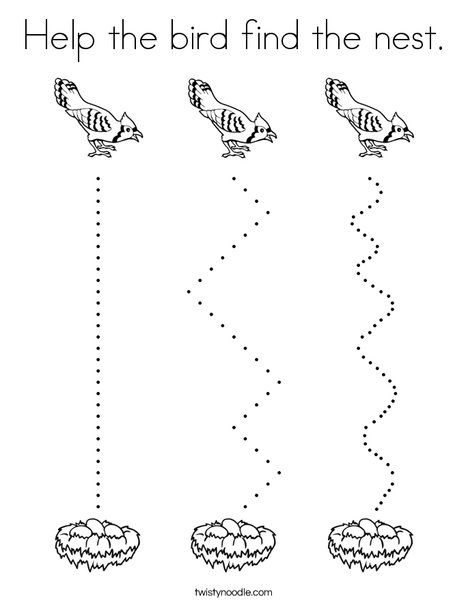 Help the bird find the nest Coloring Page - Twisty Noodle Flightless Birds Preschool, Birds Activities For Preschool, Bird Lesson Plans For Toddlers, Bird Math Activities Preschool, Bird Preschool Theme, Bird Worksheets Preschool, Birds Worksheets Kindergarten, Preschool Bird Activities, Birds For Preschoolers