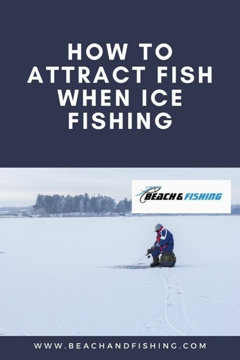 How To Attract Fish When Ice Fishing In 2022 Ice Fishing Hacks, Ice Fishing Diy, Ice Fishing Tip Ups, Ice Fishing Shanty, Ice Fishing Sled, Diy Fishing Gear, Ice Fishing Tent, Ice Fishing Shack, Ice Fishing Shelter