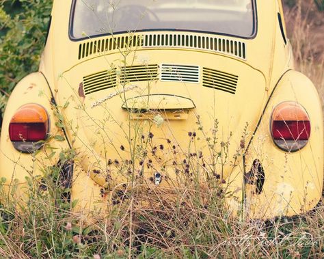 Yellow Bug Yellow Vw Beetle, Vw Sedan, Volkswagen New Beetle, Volkswagen Bug, Retro Kunst, Vw Bugs, Vw Vintage, Yellow Car, Pt Cruiser