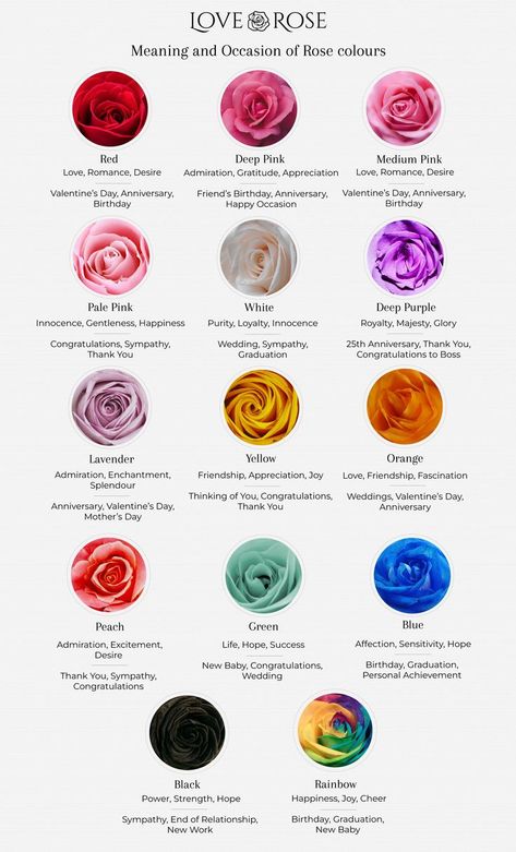 Rose Colour Meaning Guide Blue Rose Meaning, Color Meaning Chart, Rose Flower Colors, Different Color Roses, Rose Color Meanings, Rose Meaning, Color Knowledge, Boquette Flowers, Types Of Colours