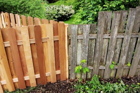 Staining Wood Fence, Patio Gates, Japanese Fence, Backyard Fence Decor, Restore Wood, Fence Stain, Concrete Fence, Old Fences, Diy Fence