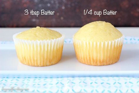 How To Bake Cupcakes, Cake Decorating Tips And Tricks, Cupcake Tips, Decorating Tips And Tricks, Perfect Cupcakes, Cake Mix Doctor, Bake Cupcakes, Mini Cupcake Pan, Novelty Birthday Cakes