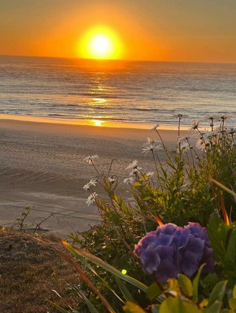 Summer In Oregon, Oregon Beach Aesthetic, Long Sketchbook, Pnw Beach, Oregon Summer, 2024 Manifestation, Clown Core, Oregon Trip, Seaside Oregon