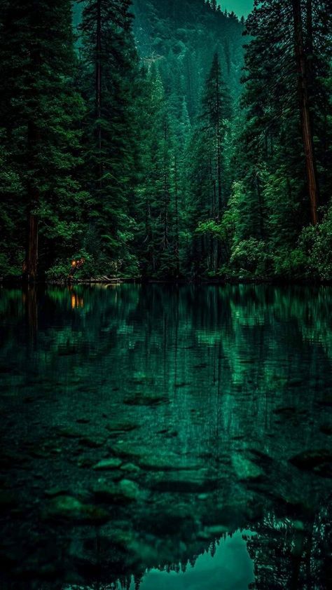 Download Anime, Dark Green Aesthetic, Pretty Landscapes, Forest Wallpaper, Cool Wallpapers Art, Wallpapers Backgrounds, Arte Fantasy, Magical Forest, 판타지 아트